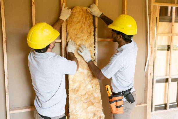 Best Insulation Removal Services  in Wolverine Lake, MI